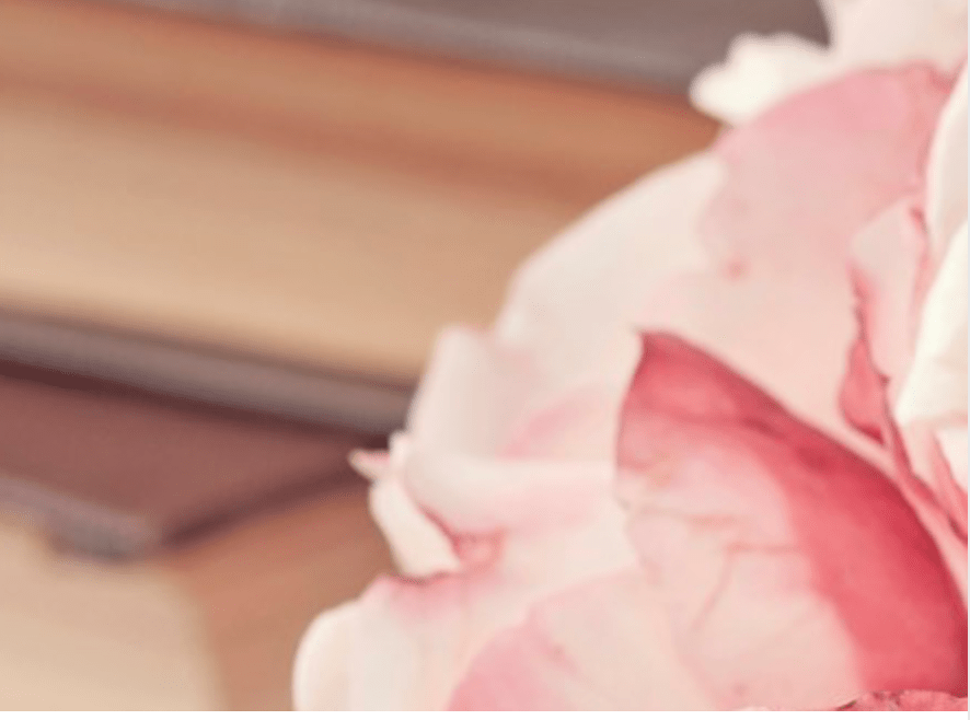 Excerpt and Spotlight!